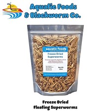 Superworms--Freeze Dried for Koi, Large Fish, Turtles, Birds, Reptiles. 13oz Bag