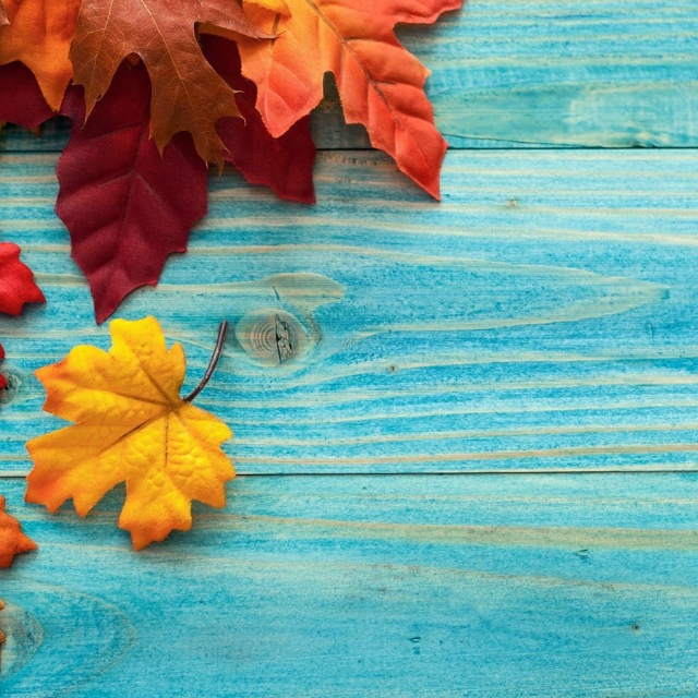 Fall into savings