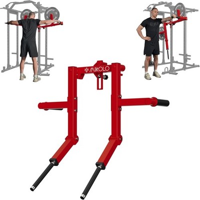Standing Lateral Raise Attachment Squat Power Rack Machine 1'' Holes Upper Body