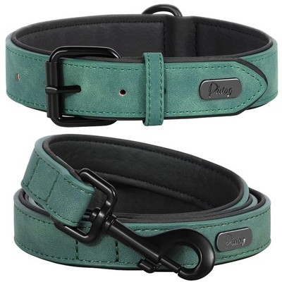 Green XL Soft Padded Leather Dog Collar, Leash Set, Adjustable, Metal Buckle
