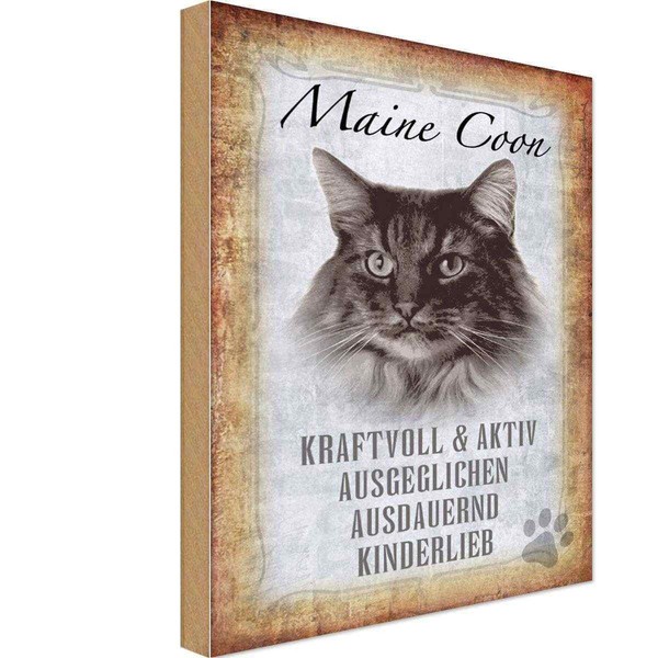 Holzschild 18X12 Cm Maine Coon Katze Aktiv Tier Haustier Deko Geschenk Holz Schi-image