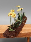 OOAK Delicate Paper Daisy Garden Flowers AC Artisan Dollhouse Miniature 1:12 — photo 9
