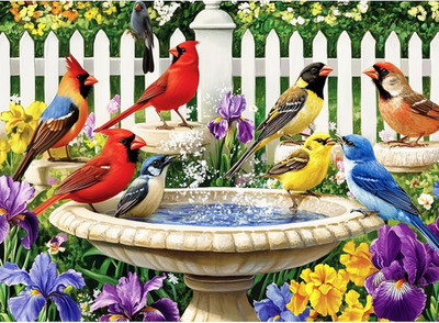 500 Pieces Puzzle for Adults,Birds Bath Flower Fence Puzzle,Recycled Cardboard A