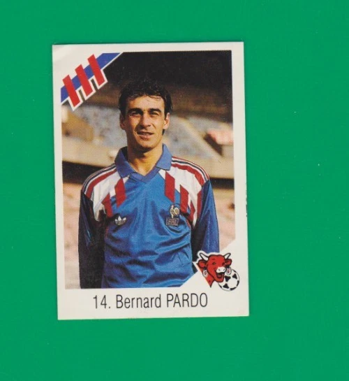 297 STARS INTERNATIONAL France Laurent Blanc Panini Football Card 93 1992-1993 EUR 2,99 - FR