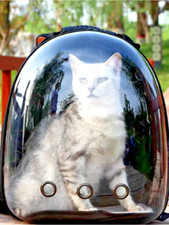 cat bags, pet backpacks, portable and transparent space capsules,