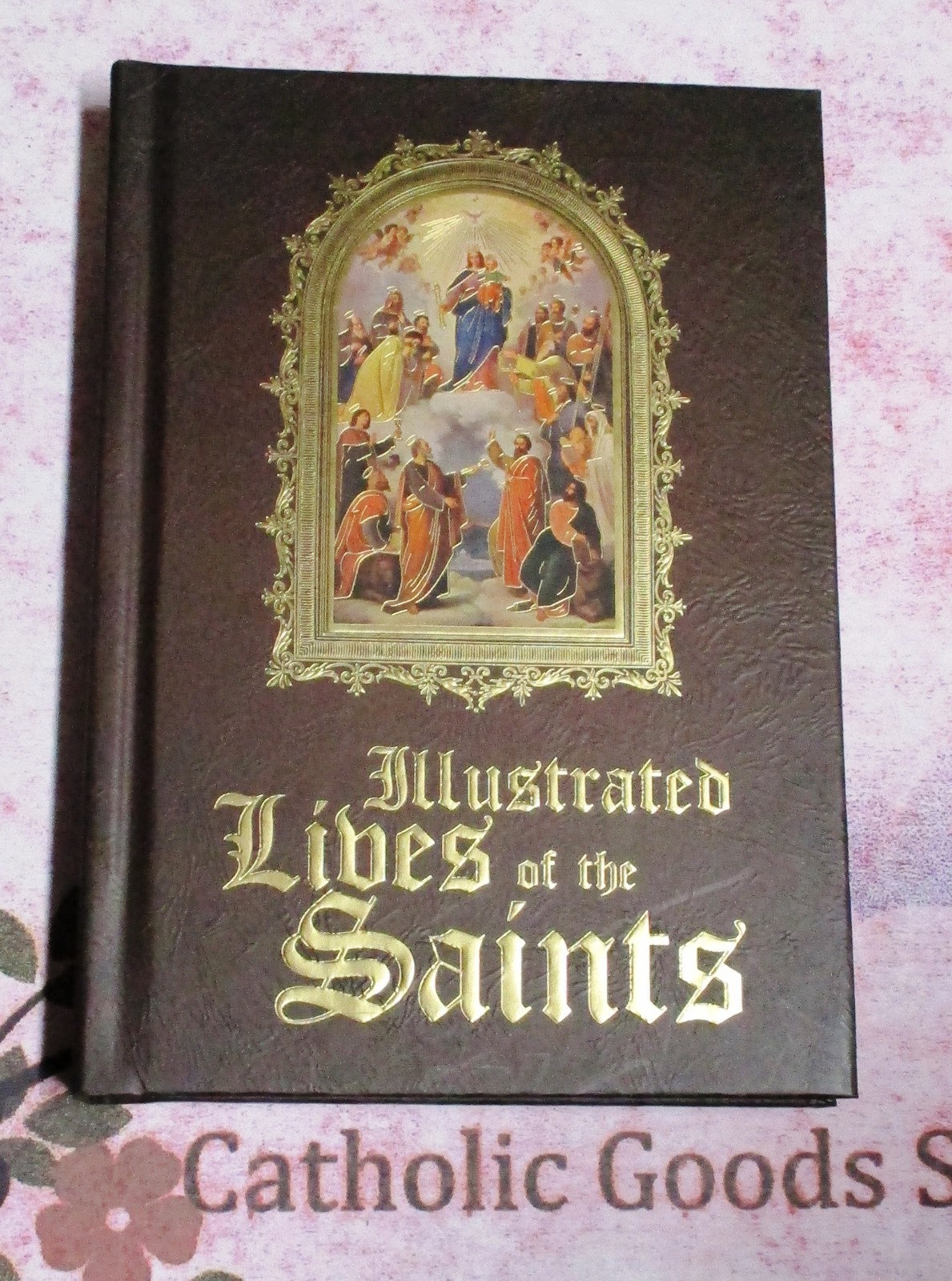 Illustrated Lives of the Saints - NEW Hard Cover | eBay