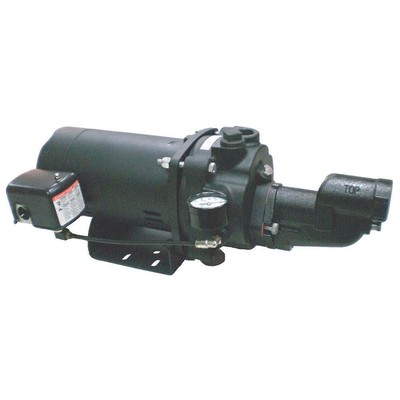 DAYTON 5UXK2 1-1/2 HP Shallow Well Jet Pump w/Ejector 5UXK2
