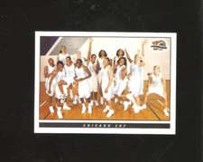chicago sky team, 2006 wnba base card,dave cowens coach,#6