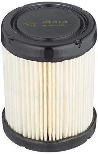 Briggs and Stratton 591583 Air Filter | eBay