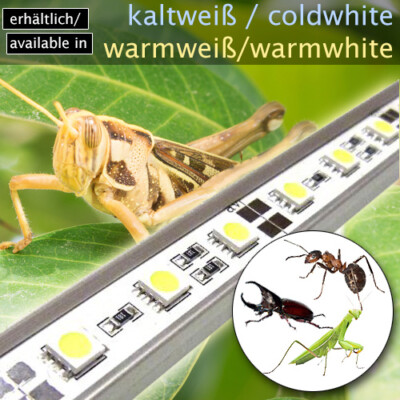 LED-BELEUCHTUNG SIMULATOR TERRARIUM AMPHIBIEN FROSCH/SALAMANDER/LURCH TB7