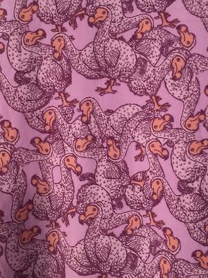 NEW LulaRoe OS Dodo Bird Print Leggings (One Size) - UNICORN - FREE SHIPPING