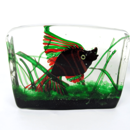 Riccardo Licata Fisch AQUARIUM 50s Cenedese Glass Murano 2,7 Kg. Glas Skulptur - Bild 3 von 8