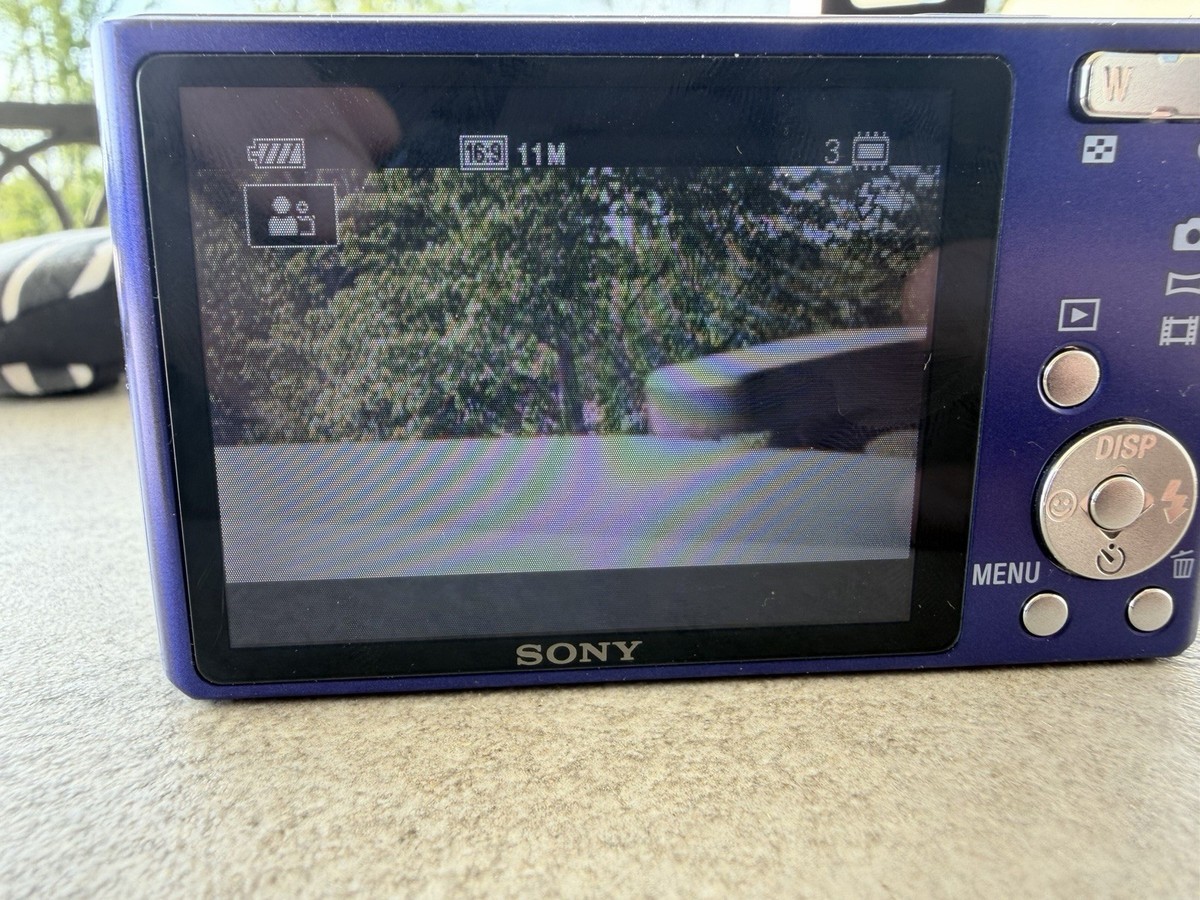 Sony Cyber-Shot DSC-W530 14.1MP Digital Camera w/4x Zoom Blue