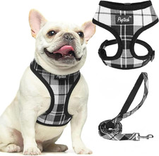 Soft Mesh Dog Harness and Leash Set Pet Puppy Cat Comfort Padded Vest No Pull Ha