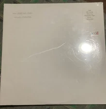 Starting over by Stapleton, Chris (Record, 2020)