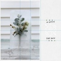 La Dispute - Tiny Dots - Vinyl Record 12 - G1398Z
