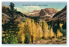 1944 WW2 From SGT Clovis New Mexico - Aspen Colorado Scene