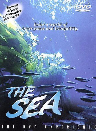 その他 The Sea [DVD] Amazon.com: The Sea [DVD] : Charlotte Rampling, Rufus Sewell