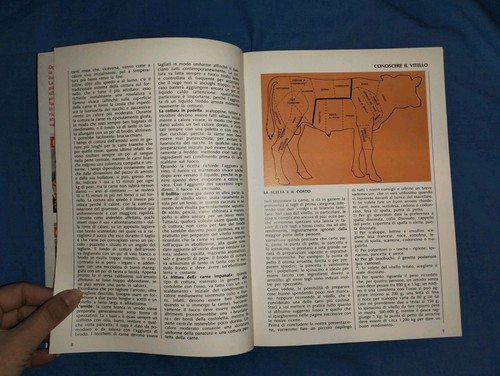 Rivista Scuola Di Cucina Curcio Guide Vol.4 Lezioni 37-48 1976 - Foto 4 di 24