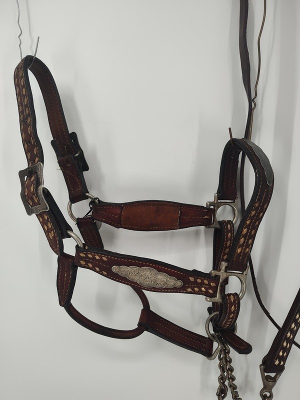 Vintage Buckstitch And Sterling Silver Show Halter And Lead