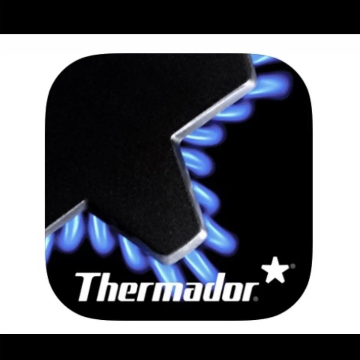 THERMADOR BLACK (F1) STAR BURNER CAP (1) 00645415 FOR RANGE/RANGETOPS,see pics. eBay