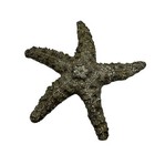 Foto 1 di 6