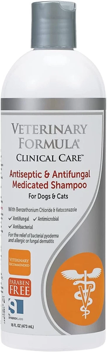 Antifungal shampoo cheap for dogs