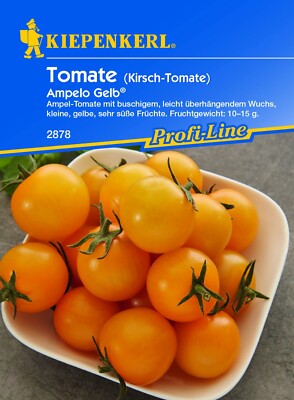 Kiepenkerl Saatgut Kirsch-Tomatensamen Ampelo Gelb (Donna Yellow, F1) |  eBay.de