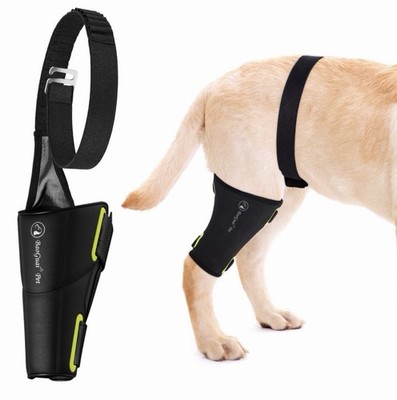 Dog Knee Brace Hip Support ACL Luxating Patella Back Leg Joint Brace Large