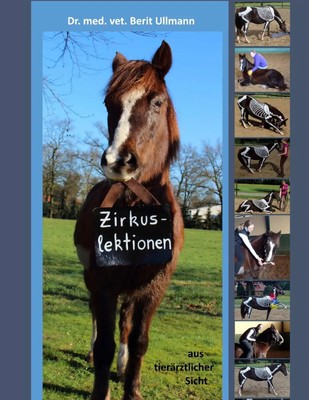 Berit Ullmann | Zirkuslektionen | Taschenbuch | Deutsch (2017) | 136 S.