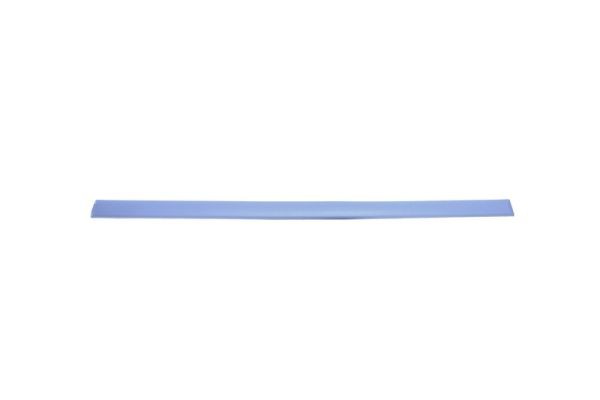 Right Front BLIC 5703-04-2530576P Trim/Protection Strip, wing for FORD