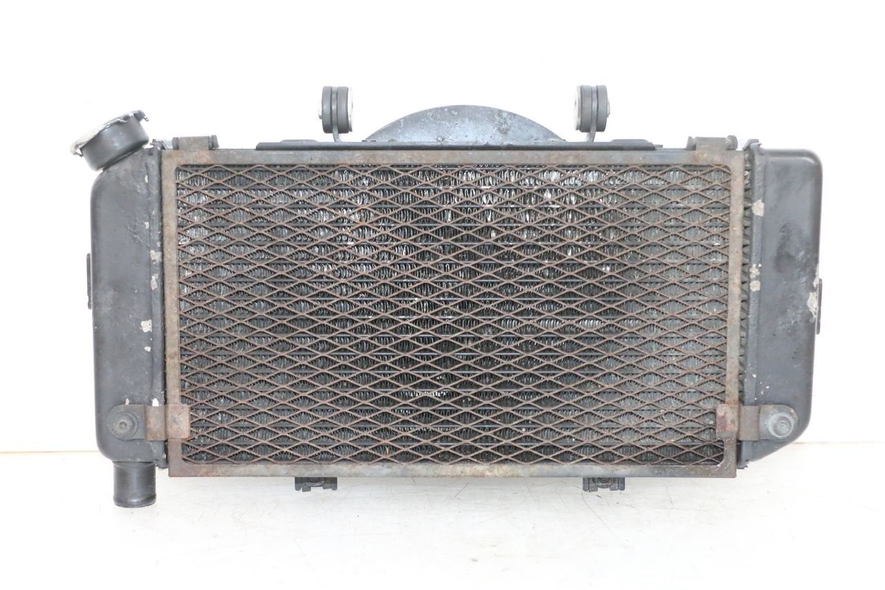 RADIADOR  - YAMAHA TDM ABS 900 (2002 - 2014)