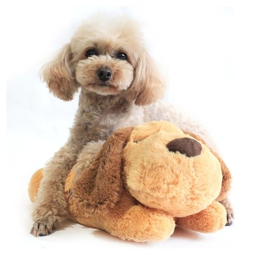 heartbeat teddy for puppies