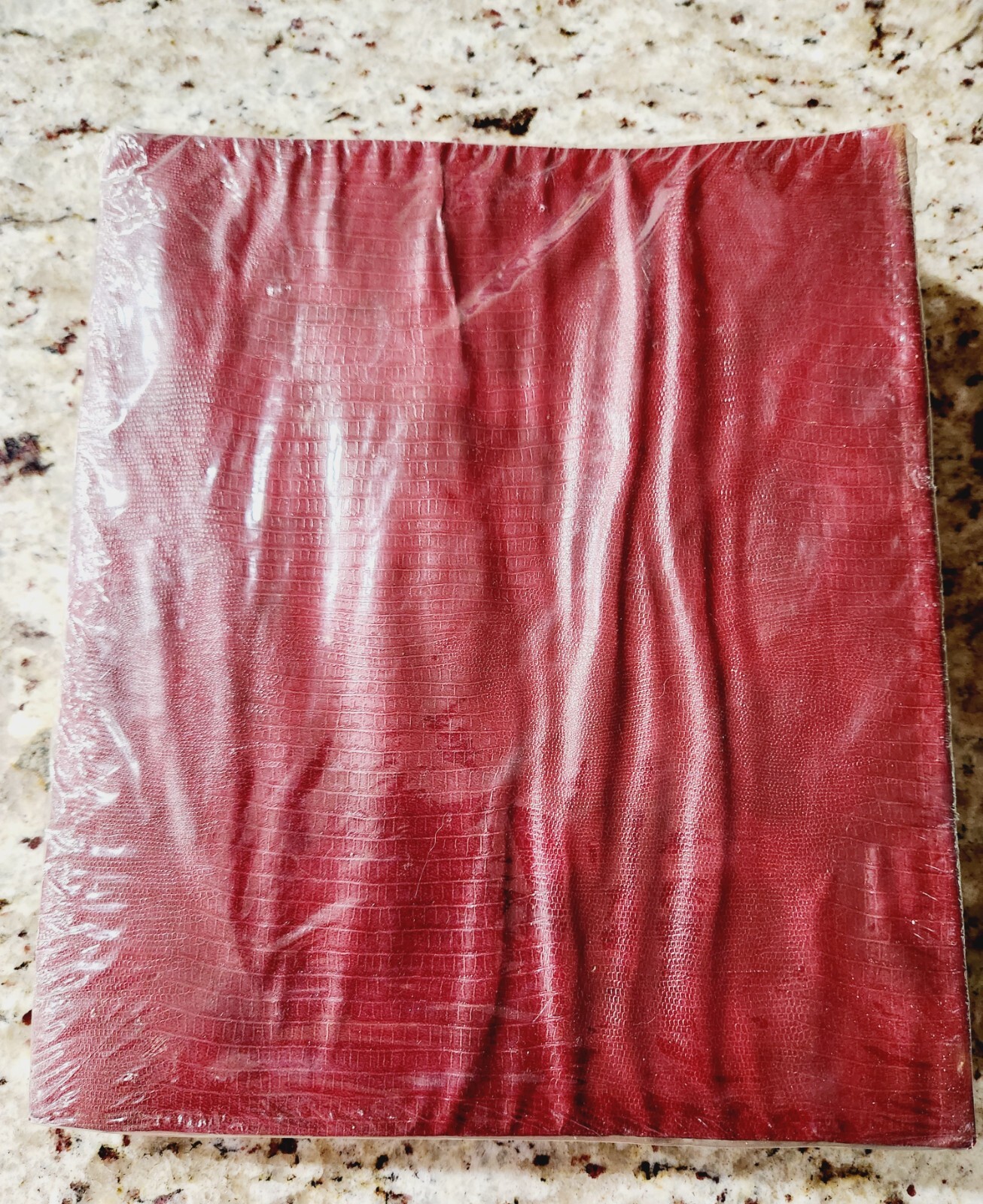 Vintage Red Photo Album 3 Ring Binder Pages SEALED! **PLEASE