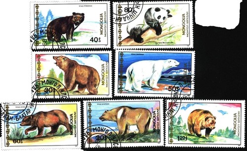 DANS LE PRE（1947年刷） First Impression: 1997 Kawasaki ZX-7R | Motorcycle.com