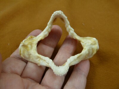 トイガン shark Lot of 2 - 21