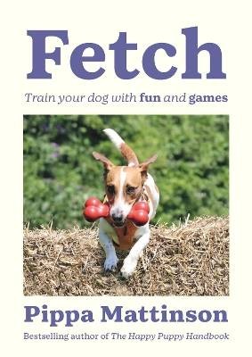 Fetch, Pippa Mattinson,  Paperback
