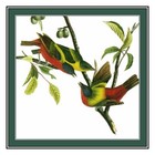 Painted Buntings Birds by John James Audubon Counted Cross Stitch Pattern