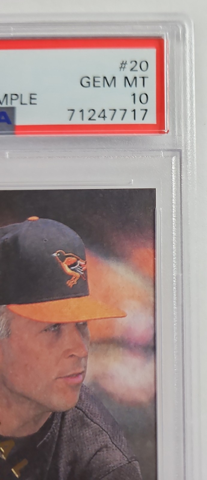 1996 FLEER CAL RIPKEN JR PROMOTIONAL SAMPLE PSA 10 GEM MINT BALTIMORE ORIOLES 💰 view 4