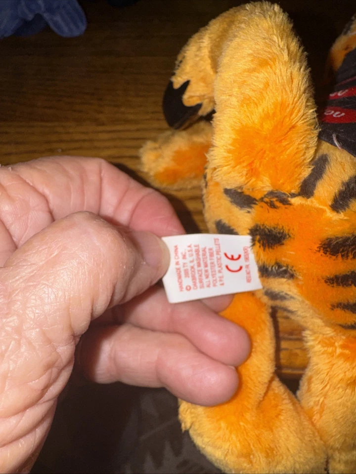 Ty 2005 GARFIELD 情人节快乐豆豆娃 - 6 英寸新品 — 第 4/4 张图片