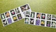 US Wild Orchid Flowers Pane of 20 Forever Postage Stamps Unused Scott# 5445-5454