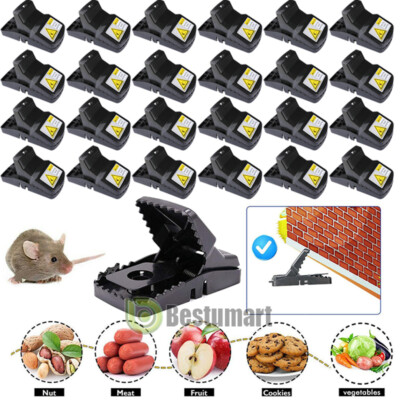 Trampas Para Ratas Los Ratones Mata Raton De Control Plagas Trampa Facil Roedore