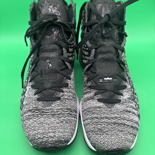 Size 14 - Nike LeBron 17 In The Arena