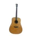 Washburn Chicago Original Wd10Pack #S14012057 Acoustic Guitar