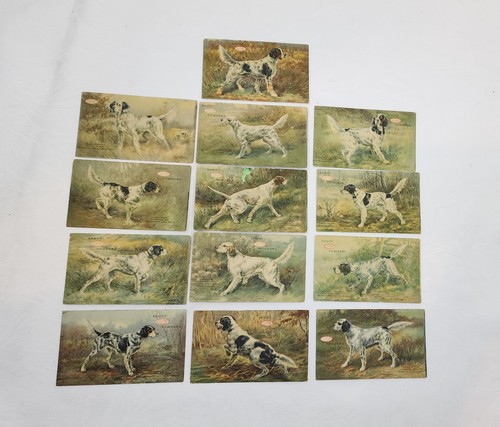 JUEGO DE 13 POSTALES DUPONT SHOOT POWDERS PERRO CAZA - Imagen 1 de 11