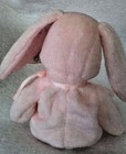 Foto 2 di 5
