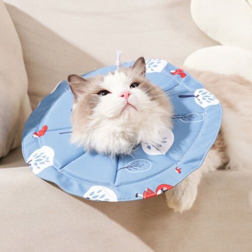 Adjustable Cat Protection Collar Pet Cone Collar for Cats Kitten - Picture 8 of 13