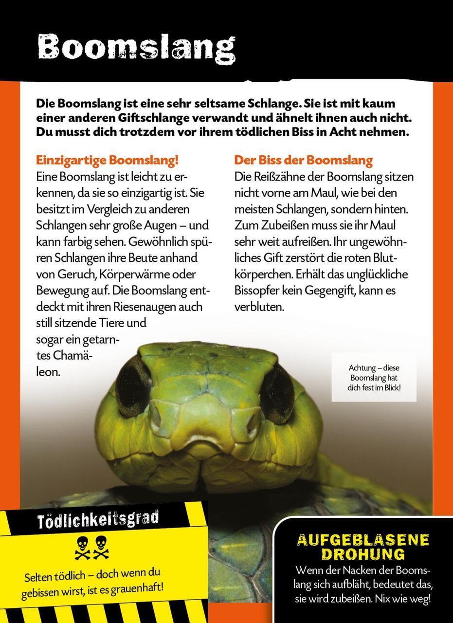 Thumbnail - Anna Claybourne Die 100 Tödlichsten Dinge Der Welt 9783845841816