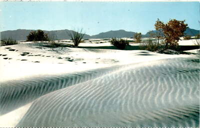 WHITE SANDS NATIONAL MONUMENT, NEW MEXICO, ALAMOGORDO, WHITE SAND Postcard