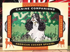 American Cocker Spaniel Patch ~ 2017 Ud Goodwin Champions Canine Companions #Cc2